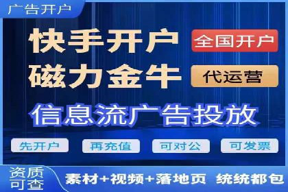 某电商平台信息流广告的精准推广策略